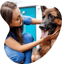 rover protect homepage image of human and pet